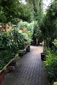 Gethsemane Garden Center In Chicago Darker Than Green Garden Center Landscape Garden