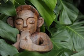 Alien Mysteries: Fairies and little people