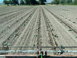 Image result for tbn:0PJB32OL7JwfOM::farm4.static.flickr.com/3324/3329876139_f2d551139f.jpg