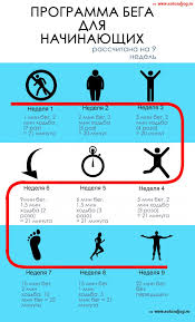 программа тренировок для девушек в тренажерном зале на 3 дня Infografika Programma Bega Dlya Novichkov Beg Dlya Nachinayushih Trenirovka Na 30 Dnej Uprazhneniya