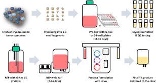 Development Of An Optimized Closed And Semi Automatic Protocol For Good Manufacturing Practice Manufacturing Of Tumor Infiltrating Lymphocytes In A Hospital Environment Cytotherapy