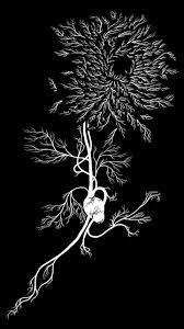 Download White Chrysanthemum Wallpaper By Gterritory C3 Free On Zedge Now Browse Mil White Chrysanthemum Holographic Wallpapers Black And White Wallpaper