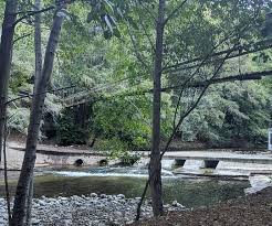 All rooms come with a private bathroom equipped with a shower and free toiletries while selected rooms have a. Riverside Campground And Cabins Updated 2021 Prices Reviews Big Sur Ca Tripadvisor