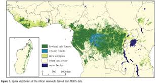 Shop for african jungle art from the world's greatest living artists. The Magic Of The Internet Rainforest Map African Rainforest Congo Rainforest