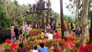 Sama kok cantiknya, nggak pake macet di jalan dan. Pesona Hutan Pinus Mangunan Ramalan Hijau