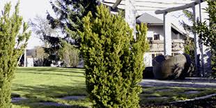 Nutzen sie unseren ideenreichtum für die gestaltung von traumgärten, parks und außenanlagen. Oesterle Garten Und Landschaftsbau Gartenpflege Hechingen