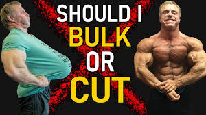 Competition weight 212 offseason weight 225 hometown: Should You Bulk Or Cut It S Simple Youtube