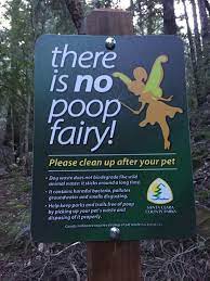 Maybe you would like to learn more about one of these? Pin On Neat Stuff