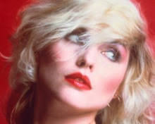 I'm a fan of chaos': Blondie's Chris Stein