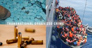 Combating Transnational Organised Crime
