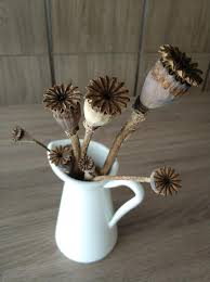 Arranging dried flowers in vase. Dried Poppy Flowers Vase Poppy Arrangement Dried Flowers Pikist