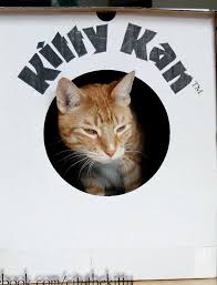 When she first arrived in foster care, she had to learn to make friends. Second Chance Pets Home Facebook