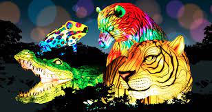 Oakland Zoo S Glowfari Lantern Festival Is Back Feb 5