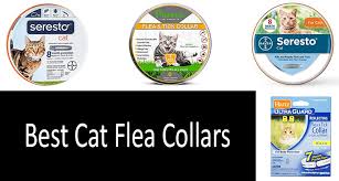 We did not find results for: Best Cat Flea Collars Recommended By Vets In 2021 Comparison Buyer S Guide