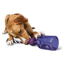 Best dog puzzle toys reddit. What Are The Best Dog Supplies According To Reddit