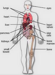 This article contains a list of human body parts names. Body Parts Name 2day Education