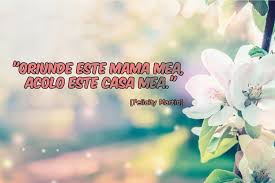 Cea mai dulce voce, cea mai grea durere, cea mai mândră floare, cea mai scumpă carte. Citate Despre Mama È™i Mesaje De 8 Martie