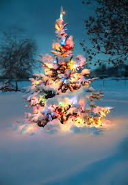 Pin On Christmas Lights Christmas Tree