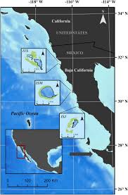 Frontiers | Extreme Marine Heatwaves Alter Kelp Forest Community Near Its  Equatorward Distribution Limit