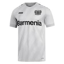 Bayer leverkusen produkte und trikots. Jako Bayer 04 Leverkusen Herren 3rd Trikot 2020 21 Grau Fussball Shop