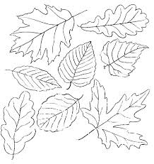 Leaf Coloring Pages Free Download Free Coloring Sheets Leaf Coloring Page Fall Coloring Pages Shape Coloring Pages
