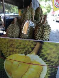 We did not find results for: Thai Durians Vs Malaysia Durians