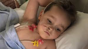 Fundraiser by Jacqueline Foster : Help 4 yr old Oaklié Boss fight kidney  failure.