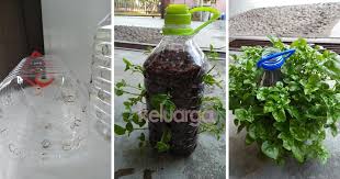 Bahan kitar semula dari botol plastik. Cara Tanam Bayam Brazil Dalam Bekas Botol Plastik Yang Super Cool Cukup Mudah Dapat Jimat Ruang Keluarga