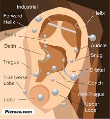 Ear Piercing Chart 17 Types Explained Pain Level Price Photo