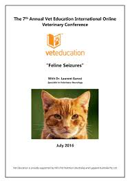 If your cat has tremors or moves its limbs wildly and rhythmically, this likely means a seizure. Medicina Felina Convulsions