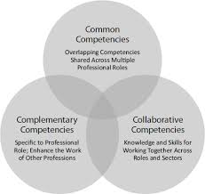 7 Knowledge And Competencies Transforming The Workforce For Children Birth Through Age 8 A Unifying Foundation The National Academies Press