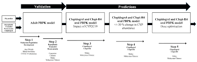 The median age of the population in malaysia is expected to reach 30.3 years in 2020, meaning that half of the population will be younger than this age and the malaysian economy. Pharmaceuticals Free Full Text Clopidogrel Pharmacokinetics In Malaysian Population Groups The Impact Of Inter Ethnic Variability Html