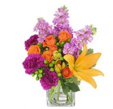 A caribbean paradise with a dash of southern hospitality. Flowers By Shirley 21 Photos 33 Reviews Florists 2200 Us Highway 1 S Saint Augustine Fl United States Phone Number Yelp