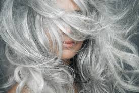The phenomenon of hair turning white from fright (or shock or grief or stress) persists in literature, poetry and even a handful of medical journals. Is Quarantine Stress Causing Your Hair To Turn Gray Gray Hair Guide Causes Transition