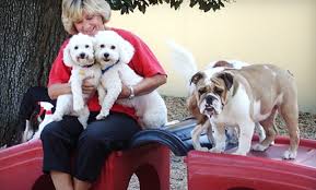 If you're afraid of leaving your pets alone in your. Camp Bow Wow In New Orleans Louisiana Groupon