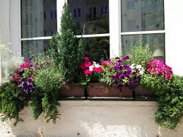 Während einige kräuter einjährig sind, also jedes jahr neu gesät oder gepflanzt werden müssen, sind andere sorten. Balkonkasten Bepflanzung Mit Immergrunen Koniferen Und Sommerblumen Balkonkasten Bepflanzen Balkon Pflanzen Balkonkasten