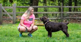 This pet sitting rate will vary depending on the services needed, the number of pets to be cared for, and the total amount of hours per day/week. Pet Sitting Dog Walking And Training Prices Sarah S Pet Sitting
