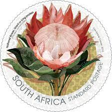 South Africa 2012 National Flower Giant Or King Protea Stamp Designed By Lize Marie Dreyer African Symbols National Symbols South African