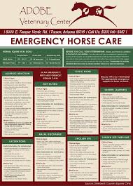 We specialize in reproductive and orthopedic services. Equine Emergency Tucson Az Adobe Veterinary Center