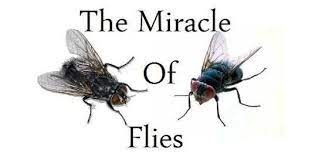 Ahlebait's a.s. - Contributions in Modern Science and Technology -  Muhammad's (saaw) Hadith of the Fly is confirmed by Science The Holy Quran  and the traditional sayings of Prophet Mohammad (PBUH) are