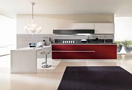 black and white kitchens you