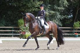 Olympia 2016 in rio de janeiro. Olympische Spiele 2016 In Rio Ohne Pferde Equestrian Worldwide Pferdesport Weltweit Eqwo Net