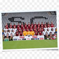 Check spelling or type a new query. Sc Freiburg Png Images Pngwing