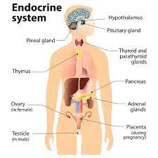 Pin On Health Gesundheit