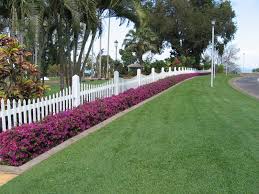 Maybe you would like to learn more about one of these? Gardening South Florida Style South Florida Hedge Plants V I