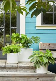 cylinder ceramic pots and planters flora grubb gardens garden containers diy planters pots ceramic pots