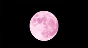 #ظاهرة_القمر_الوردي_العملاق ‼️ the moon changes its natural color on april 26 to the first full moon in 2021 to be pink. Ø§Ù„Ù‚Ù…Ø± Ø§Ù„ÙˆØ±Ø¯ÙŠ Ø§Ù„Ø¹Ù…Ù„Ø§Ù‚ ÙŠØ²ÙŠÙ† Ø³Ù…Ø§Ø¡ Ù„ÙŠÙ„Ø© Ø§Ù„Ø¥Ø«Ù†ÙŠÙ† Ø§Ù„Ù…Ø­ÙˆØ± Ø§Ù„Ø¹Ø±Ø¨ÙŠ