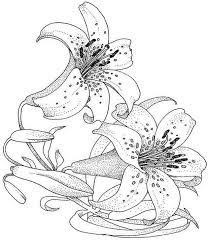orchidee flower drawing coloring pages support tache conseils produits lavables coloriage de colle scintillante lavable