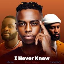 Proud Refuge: albums, songs, playlists