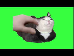 The petpet meme first spread on twitch through a series of petthe emotes that featured a hand petting a character that is now happy. H A N D P E T T I N G M E M E Zonealarm Results